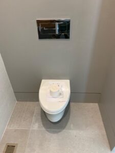 Wall Mounted Toilet