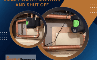 The Smart Way to Protect Your Home: Automatic Leak Detection for Denver Homeowners